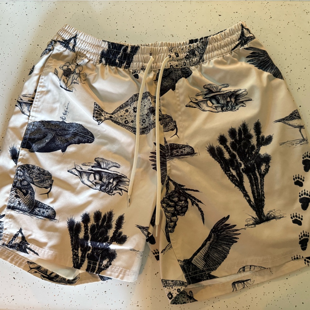 Vans Swim Trunks - Wore Once
